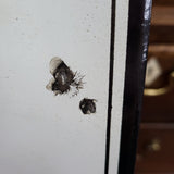 James Purdey & Sons Enamel